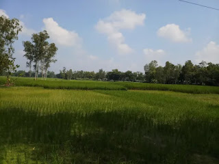Agricultural land pictures Agricultural land pictures