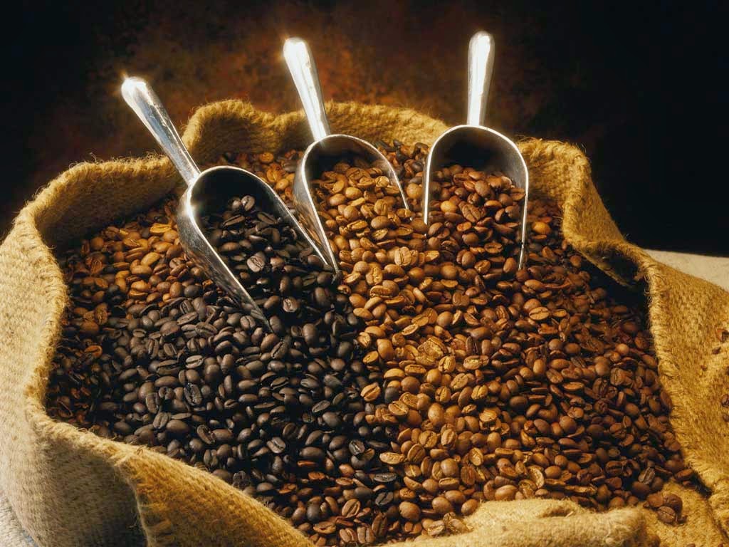 咖啡裡的咖啡因是基因突變而來