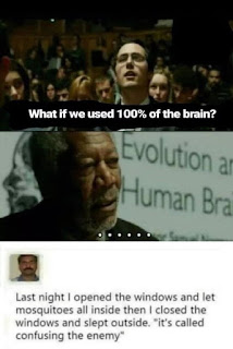 memes