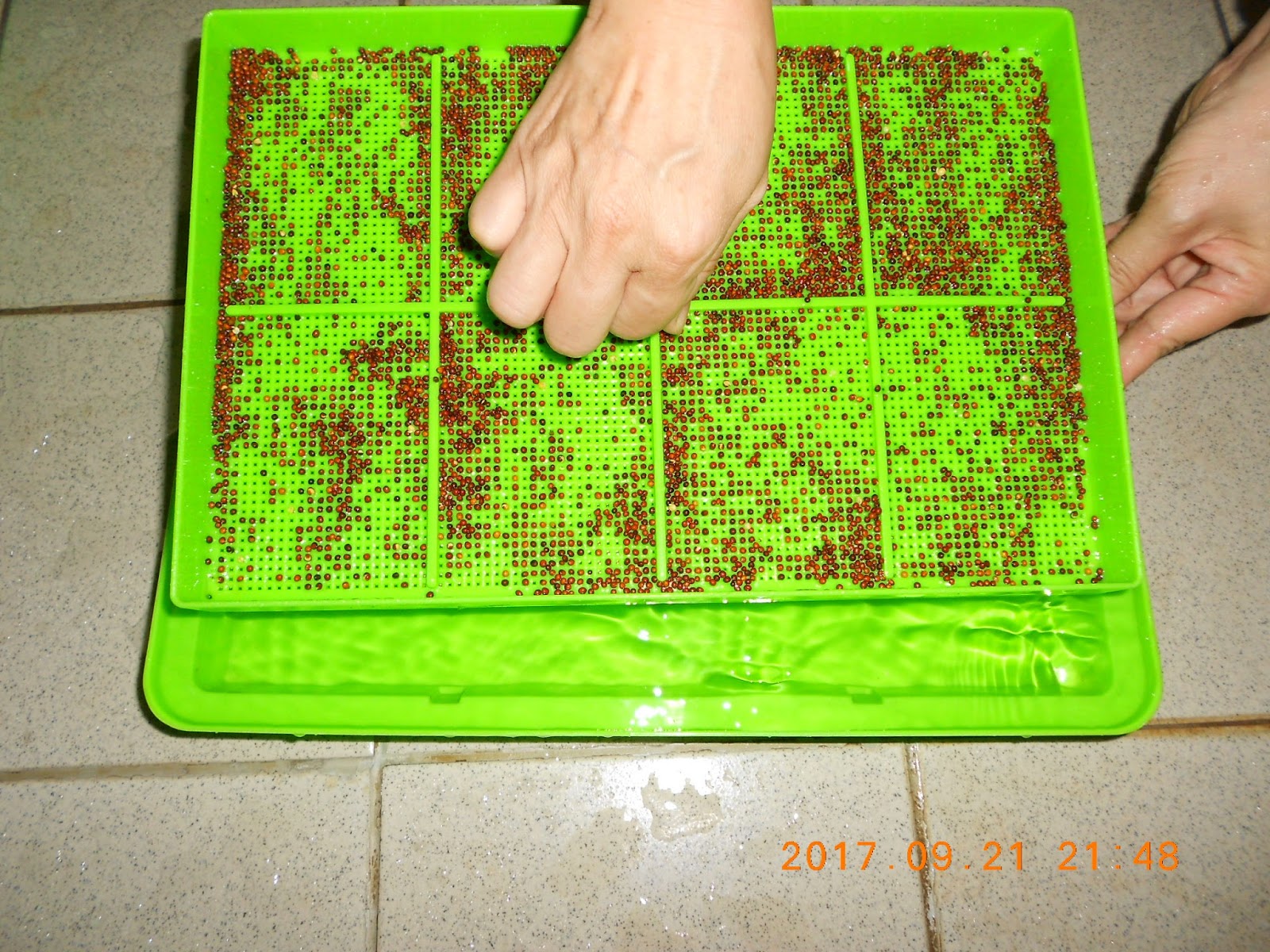 �����R,�����R��,���Ⱚ�R��,������ŵ�,�����R��i,�����R����i,�����ŵ��ܦ�,�����ŵ浵���ߵ�,�����R��