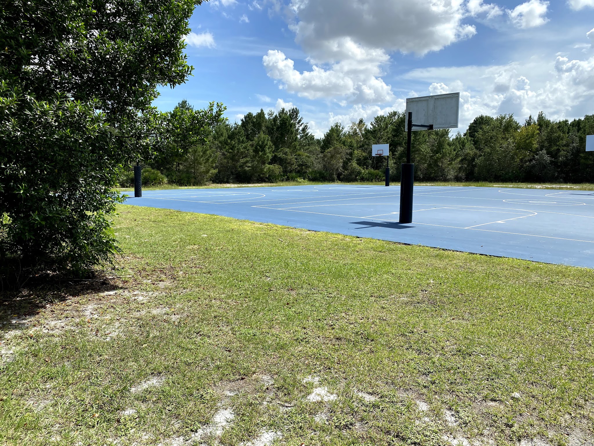 Shadow Bay Park Orlando Florida Travel Ideas