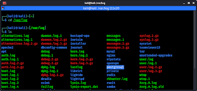 logs in Kali Linux