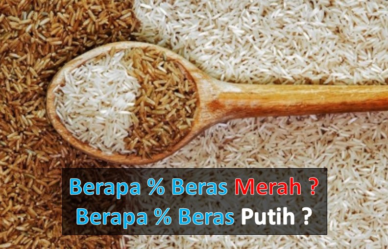 cara menghitung persen cara menghitung persen