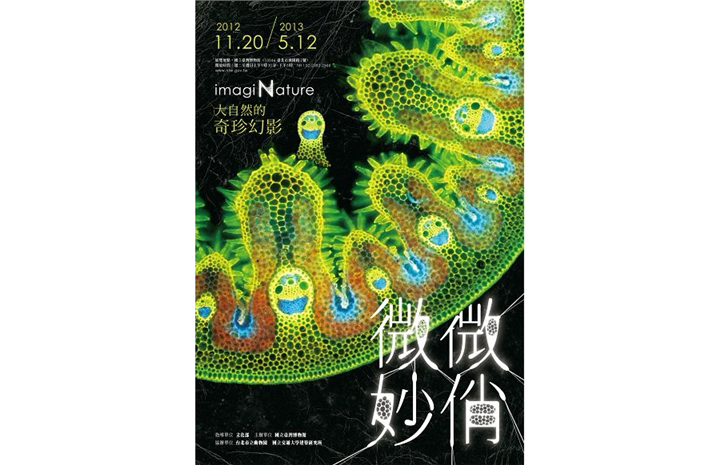 「微妙微俏－大自然的奇珍幻影」特展 嘉義市立博物館展出