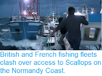 https://sciencythoughts.blogspot.com/2018/09/british-and-french-fishing-fleets-clash.html
