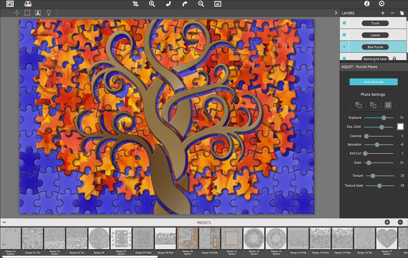 PuzziPix Pro