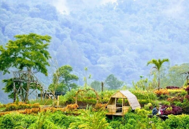 Dowes29.com: Lokasi sendi Adventure Pacet Mojokerto harga ...