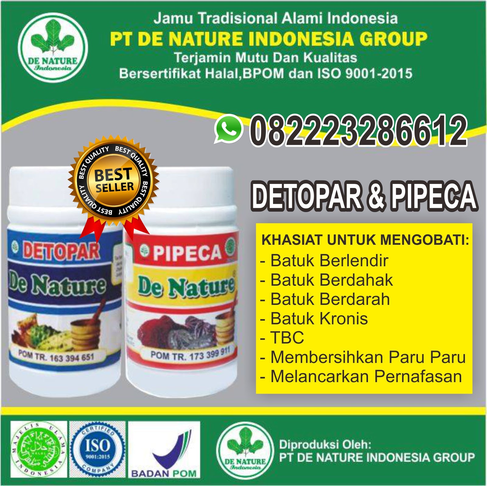 Obat alami paruparu kempes