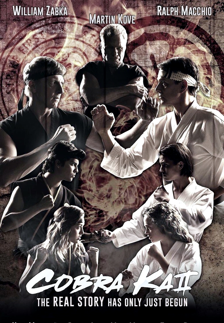 COBRA KAI TEMPORADA 2 ESPAÑOL LATINO SERIE COMPLETA VER ONLINE DORAMASLATINOX COBRA KAI TEMPORADA 2 ESPAÑOL LATINO SERIE COMPLETA VER ONLINE DORAMASLATINOX