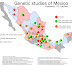 Data: The Racial Make-Up of Mexican Regions