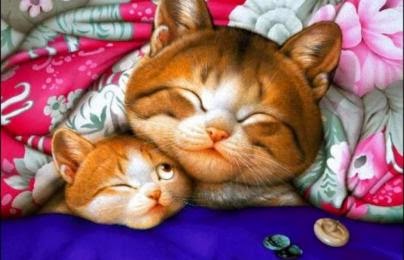 Sleeping Cute Cats Wishes Good Night Wallpaper With Message