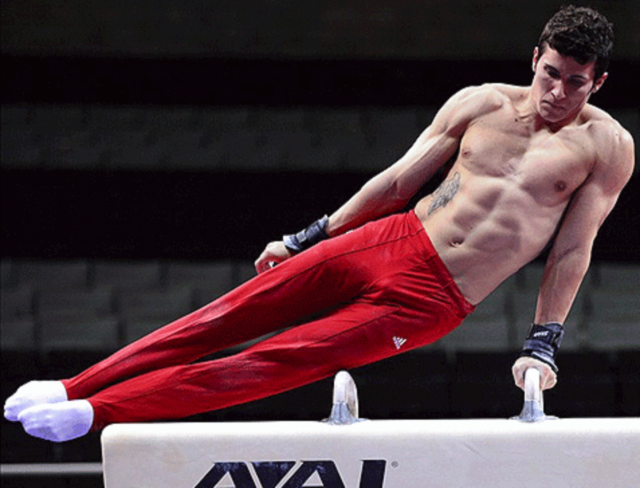 Спортивная гимнастика мужчины результаты. Jake Dalton гимнаст. Гимнаст Самуэль Микулак фото голышом без трусов. Back poses Olympia open.