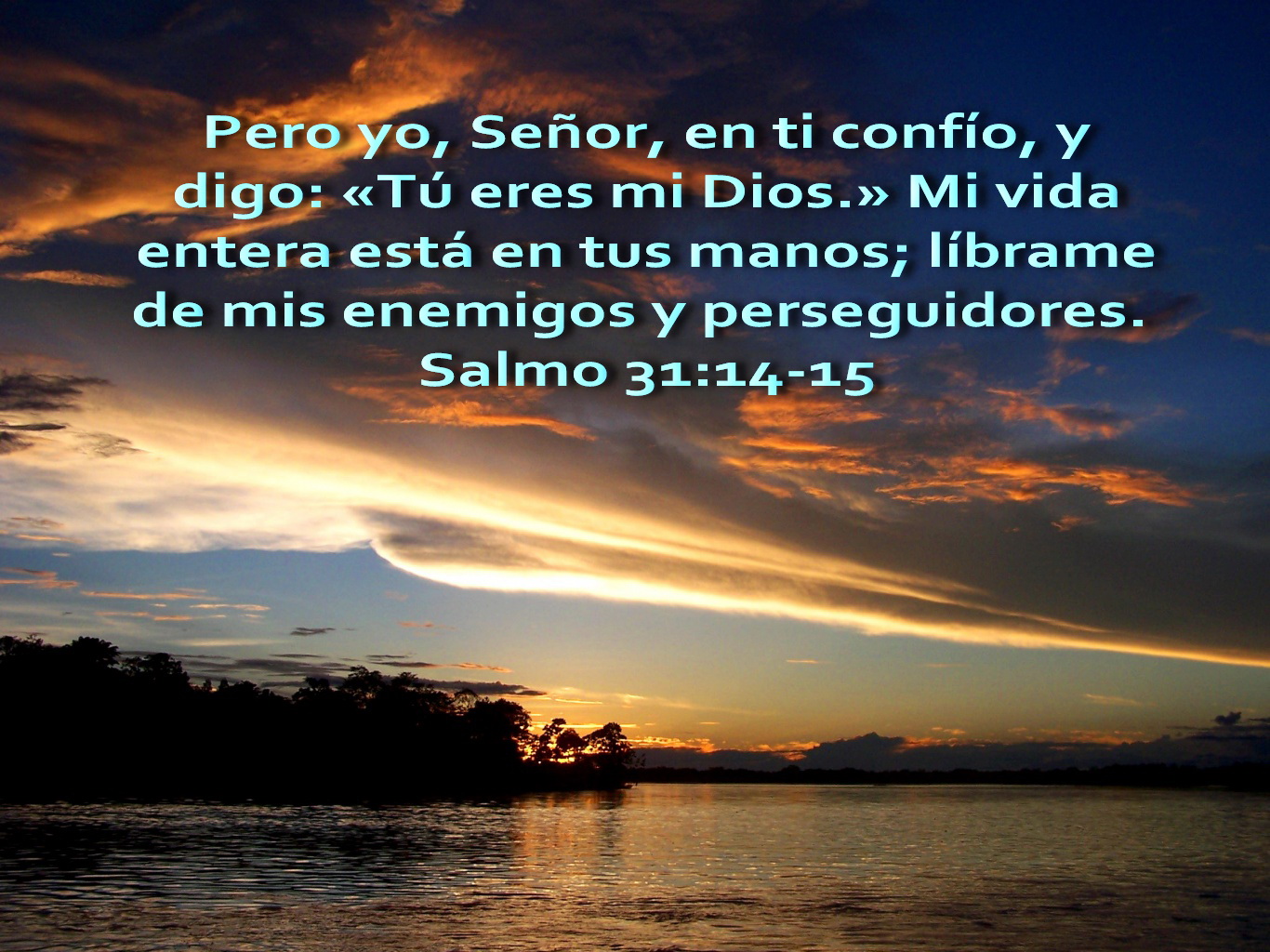 PARA EL REY DE REYES II: julio 2011