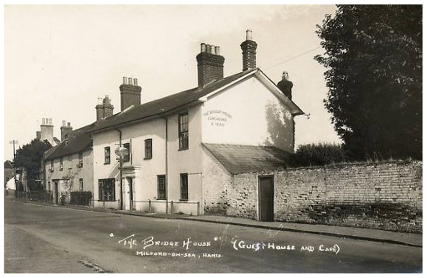 Enjoy Milford on Sea Story of Bay Trees