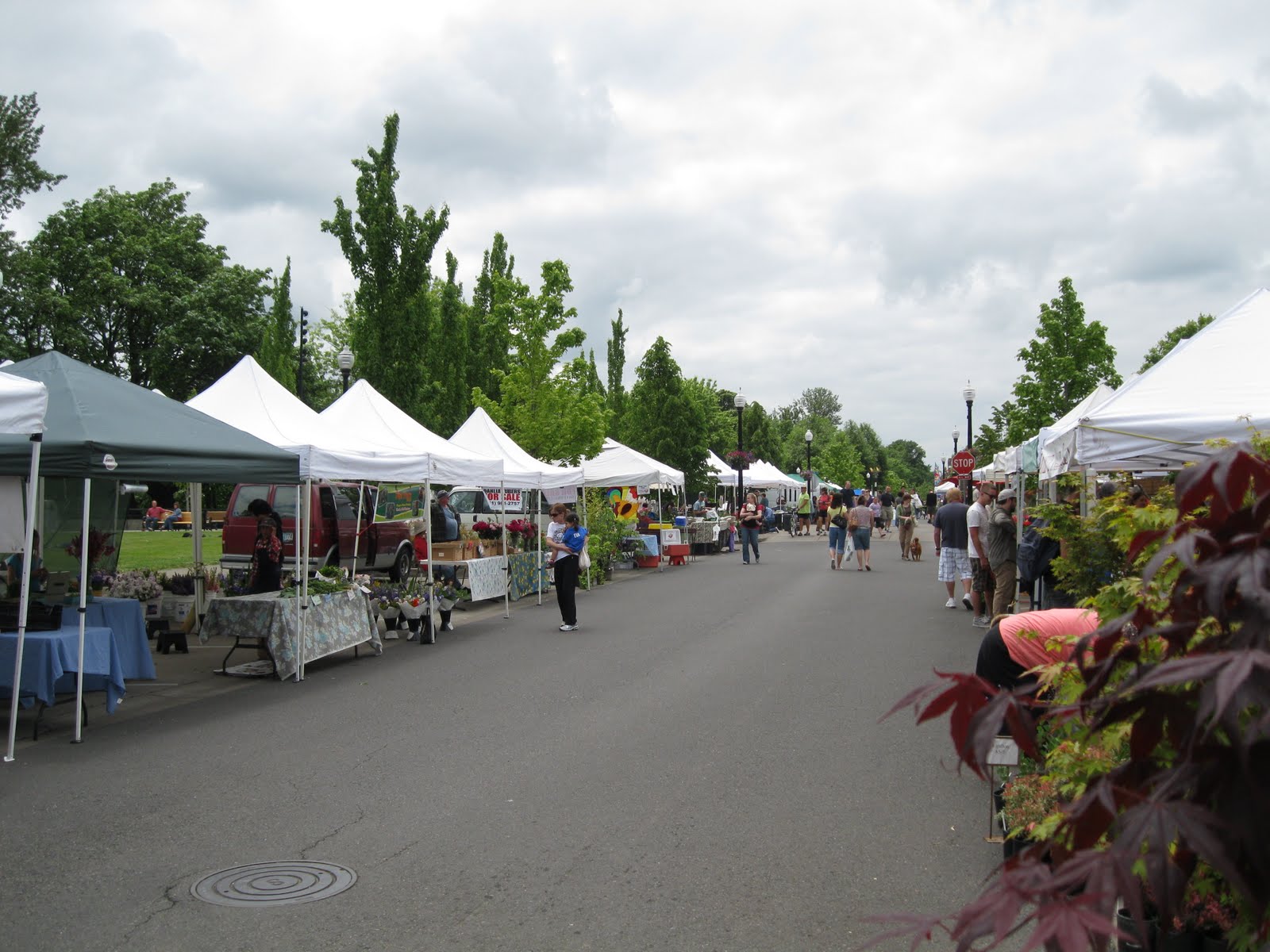 Wheres Katie?: Downtown Corvallis