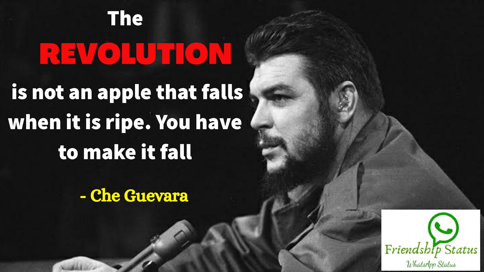 Best 25+ Most Inspirational Che Guevara Quotes