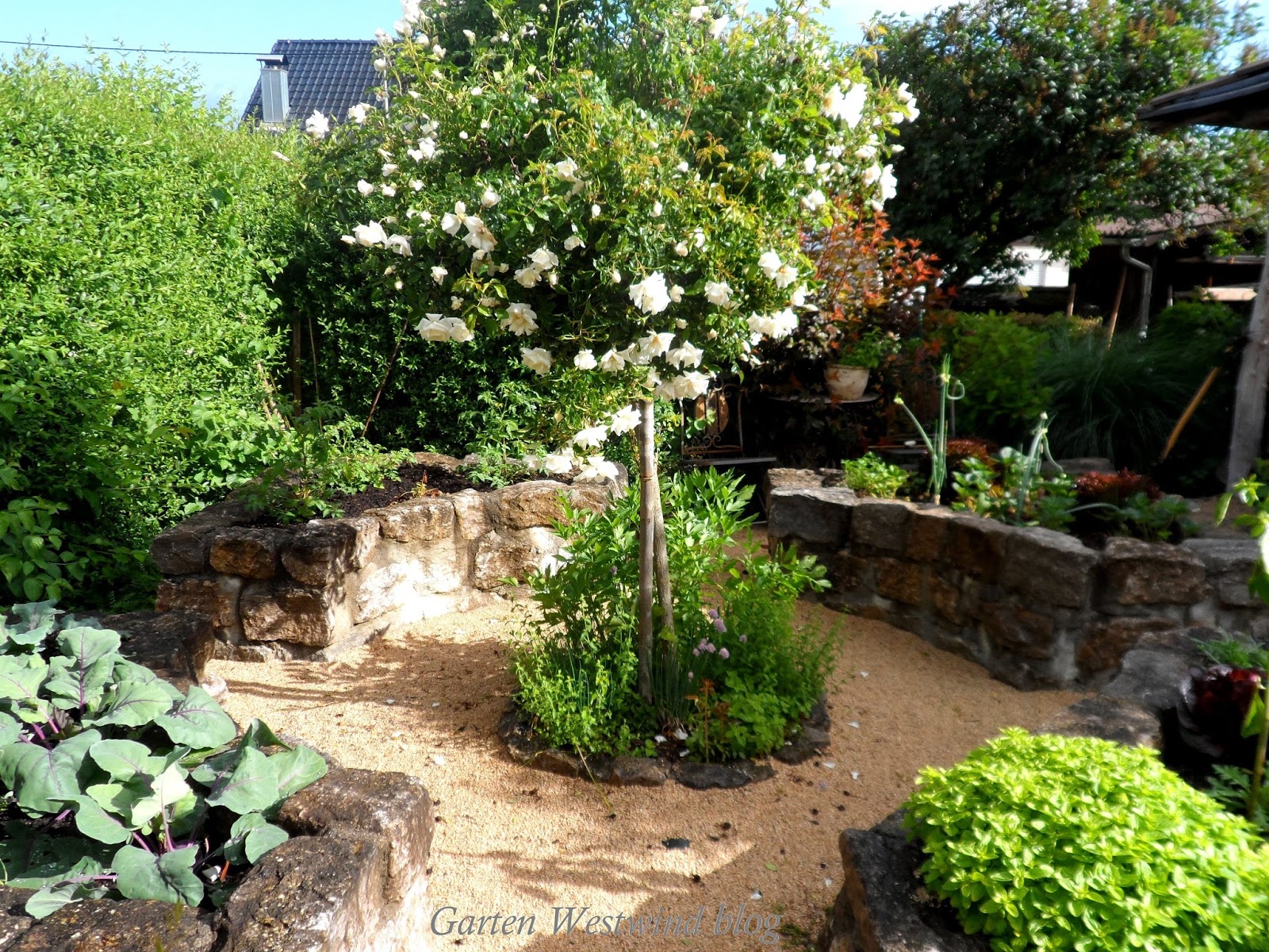 Garten Westwind, ein kleiner Familiengarten Anbau von