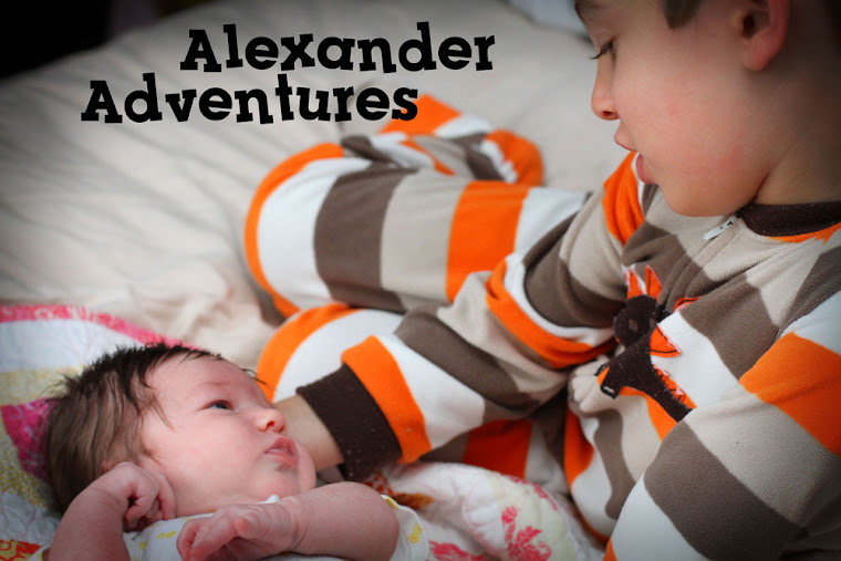 Alexander Adventures!