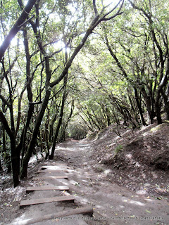 Anaga Sendero de los Sentidos Anaga Sendero de los Sentidos