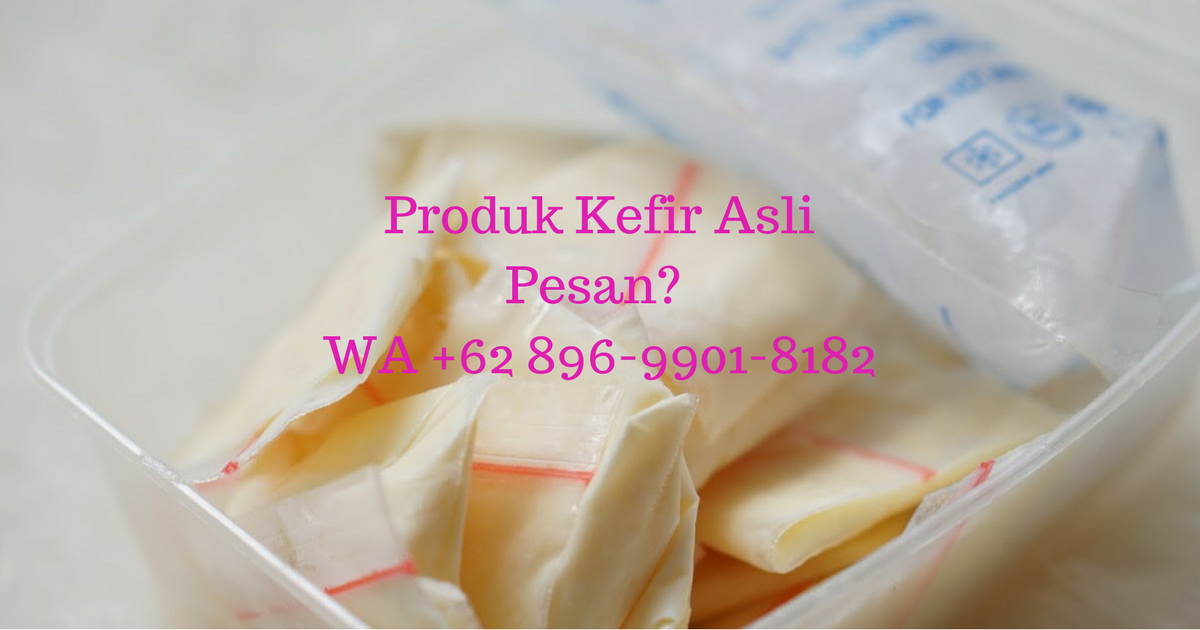 Jual Bibit Kefir Tenjolaya Bogor Wa 0896 9901 8182 Juragan Aja