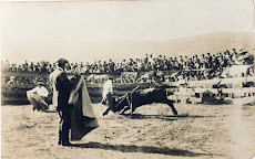 TOROS TINEO 1924