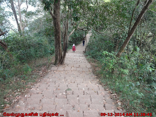 Sentinel Rock Waterfall Trail Wayanad