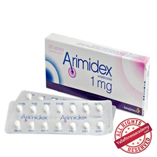 اصنع سلسلة Oce Bed من أدوية خفض هرمون الاستروجين Comertinsaat Com