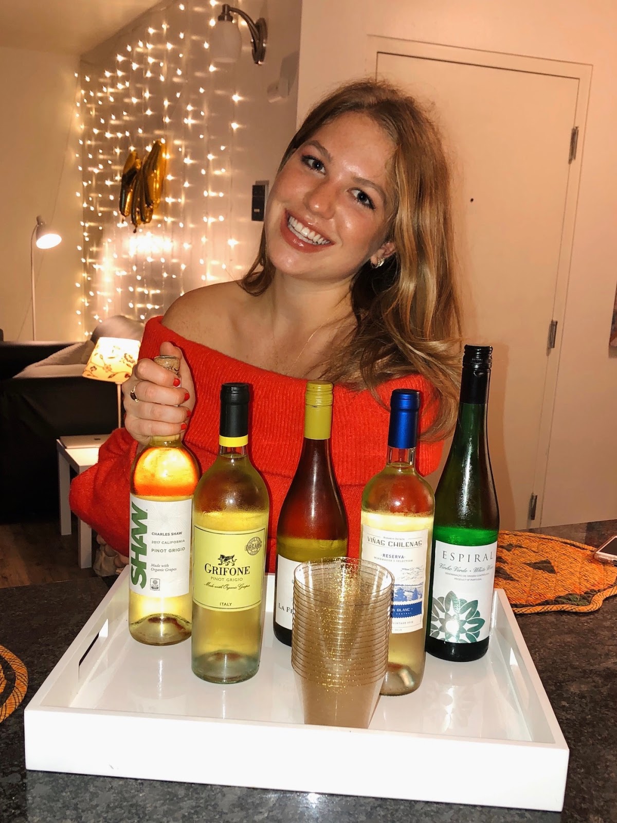 Trader Joe's Cheap Wine Review (VIDEO!)