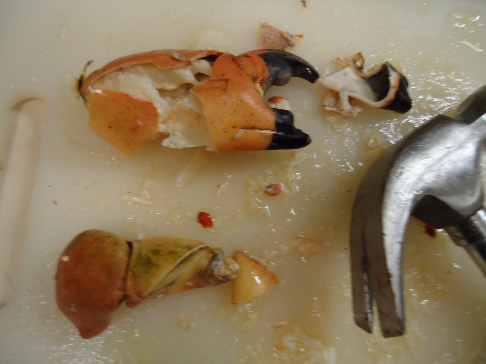 Kitchen Pulse The joys of GalvestonStone Crab