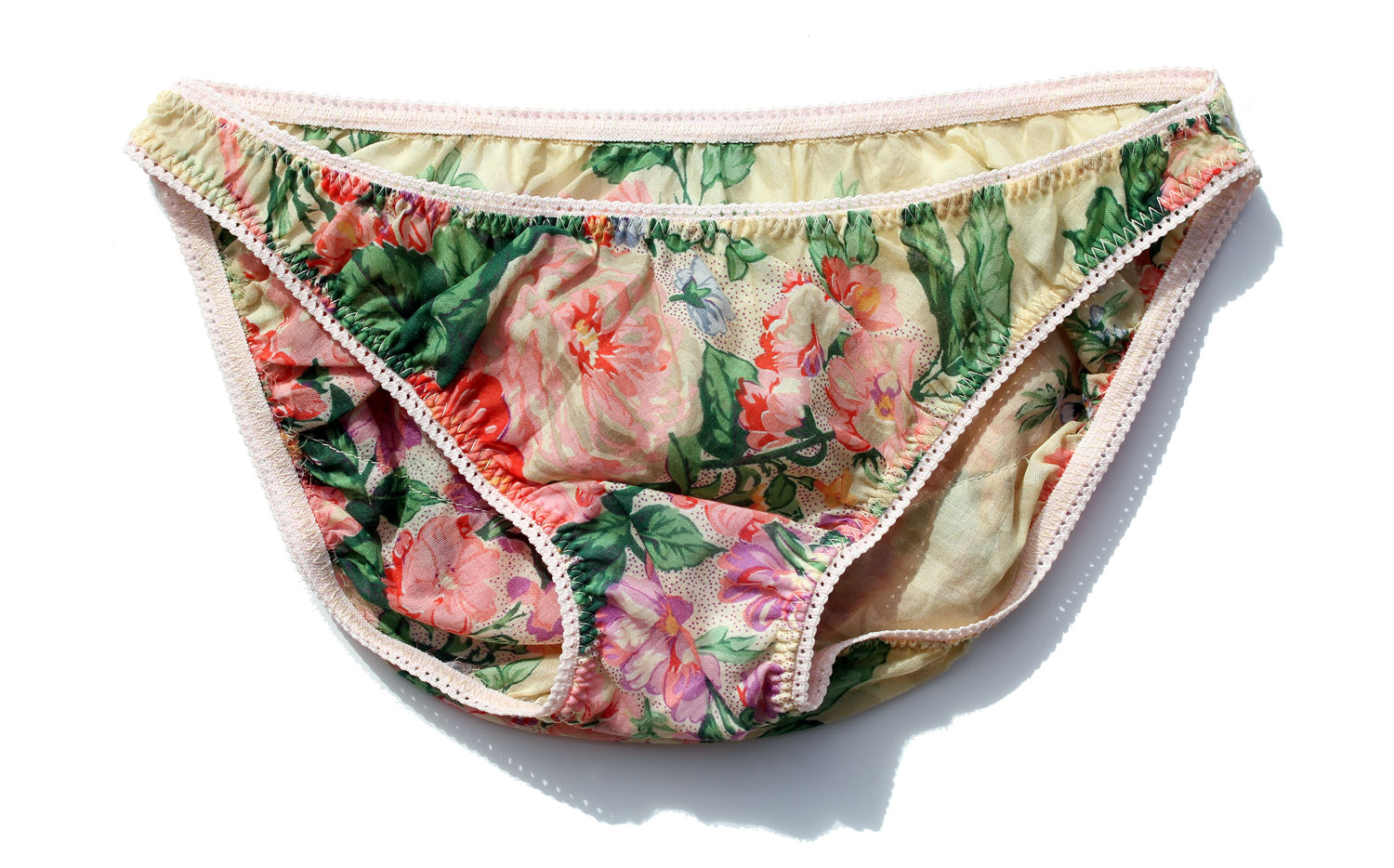 The Makers' Journal: Day 29. All my pretty knickers