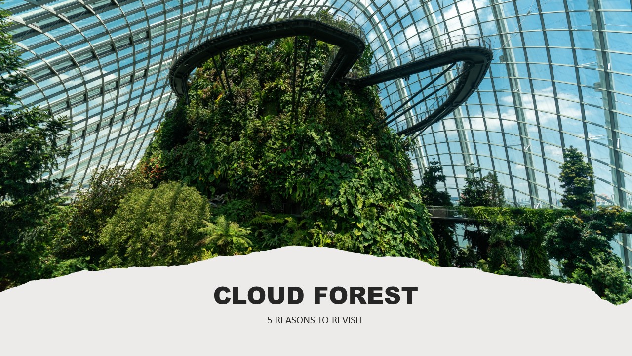 Cloud Forest reasons to revisit Singapore Wacky  Magazine