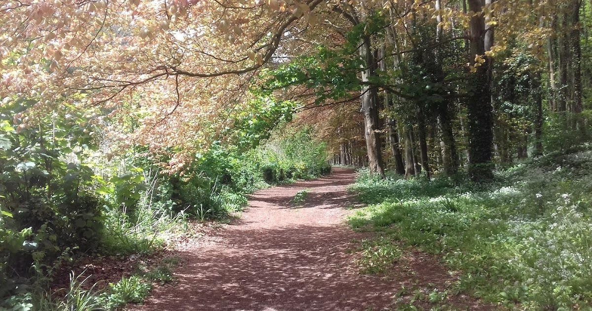 Trails in Cardiff, Capital city of Wales Salmon leaps walk, Vale Trail 6