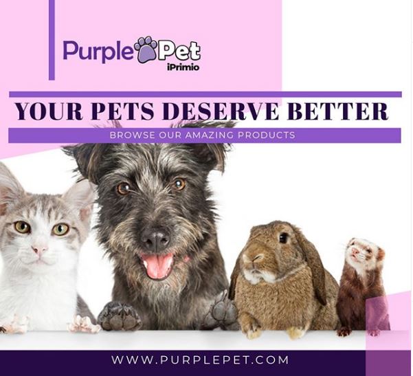 The Best Pet Products for Lazy Pet Owners