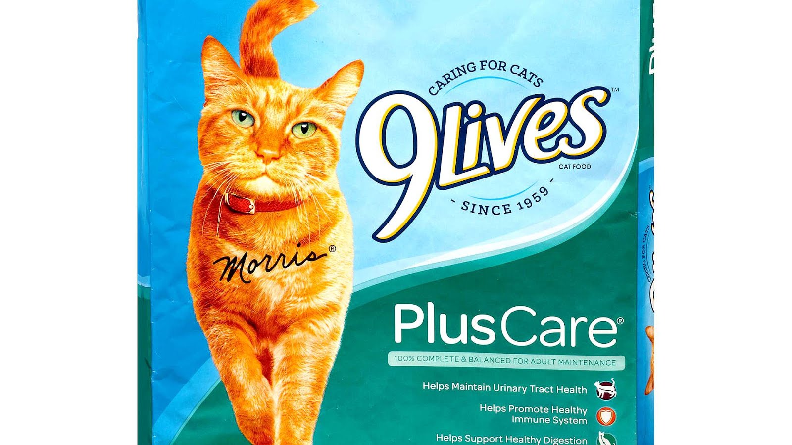 Best Cat Food For Urinary Tract Problems Cat Choices