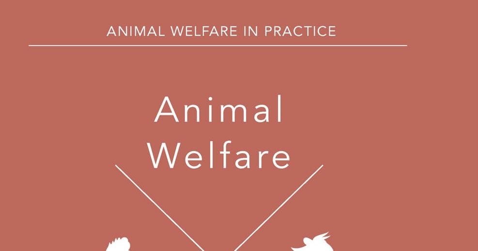 awa animal welfare association awa animal welfare association