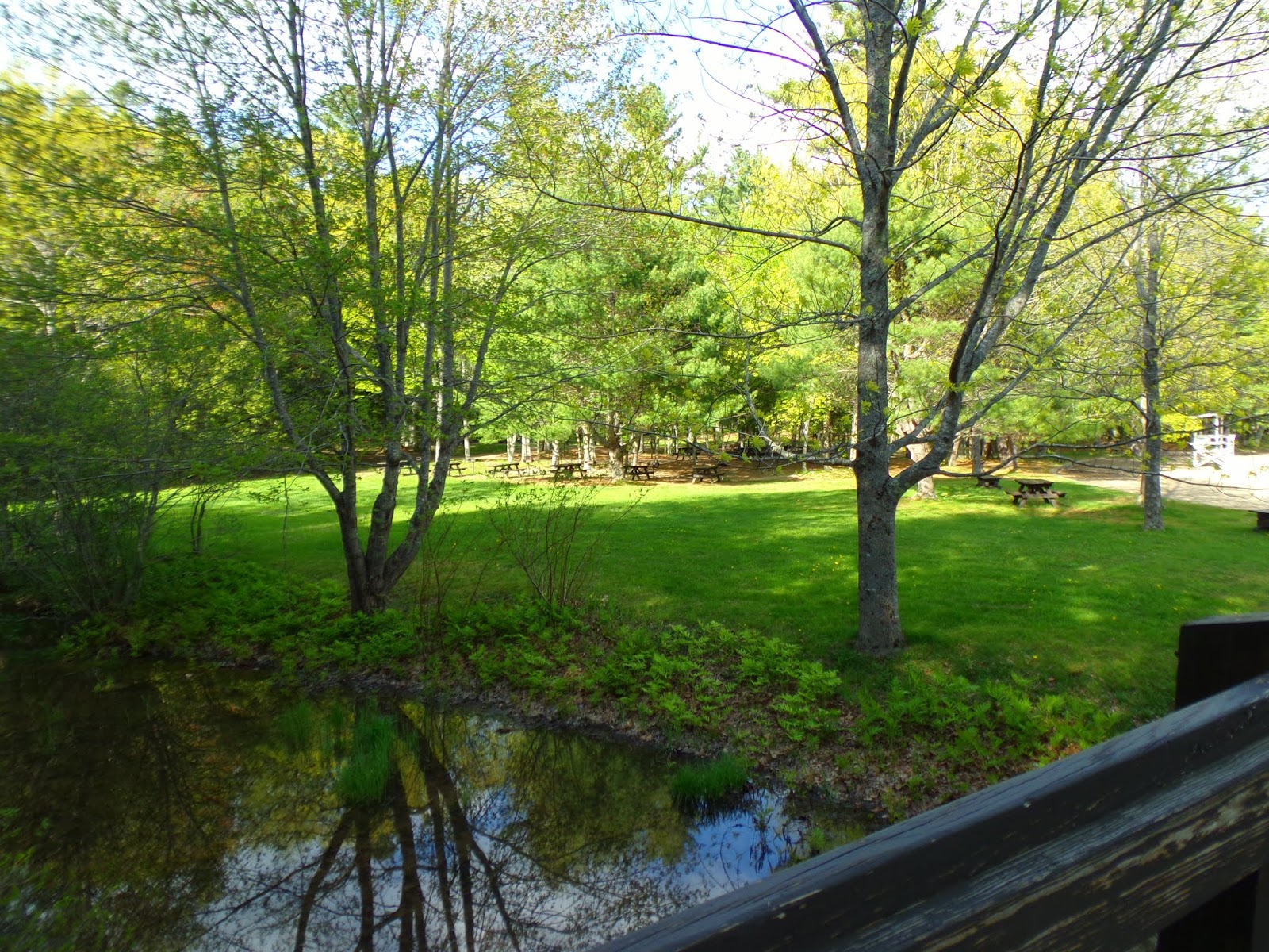 Swan Lake State Park, Swanville, Maine
