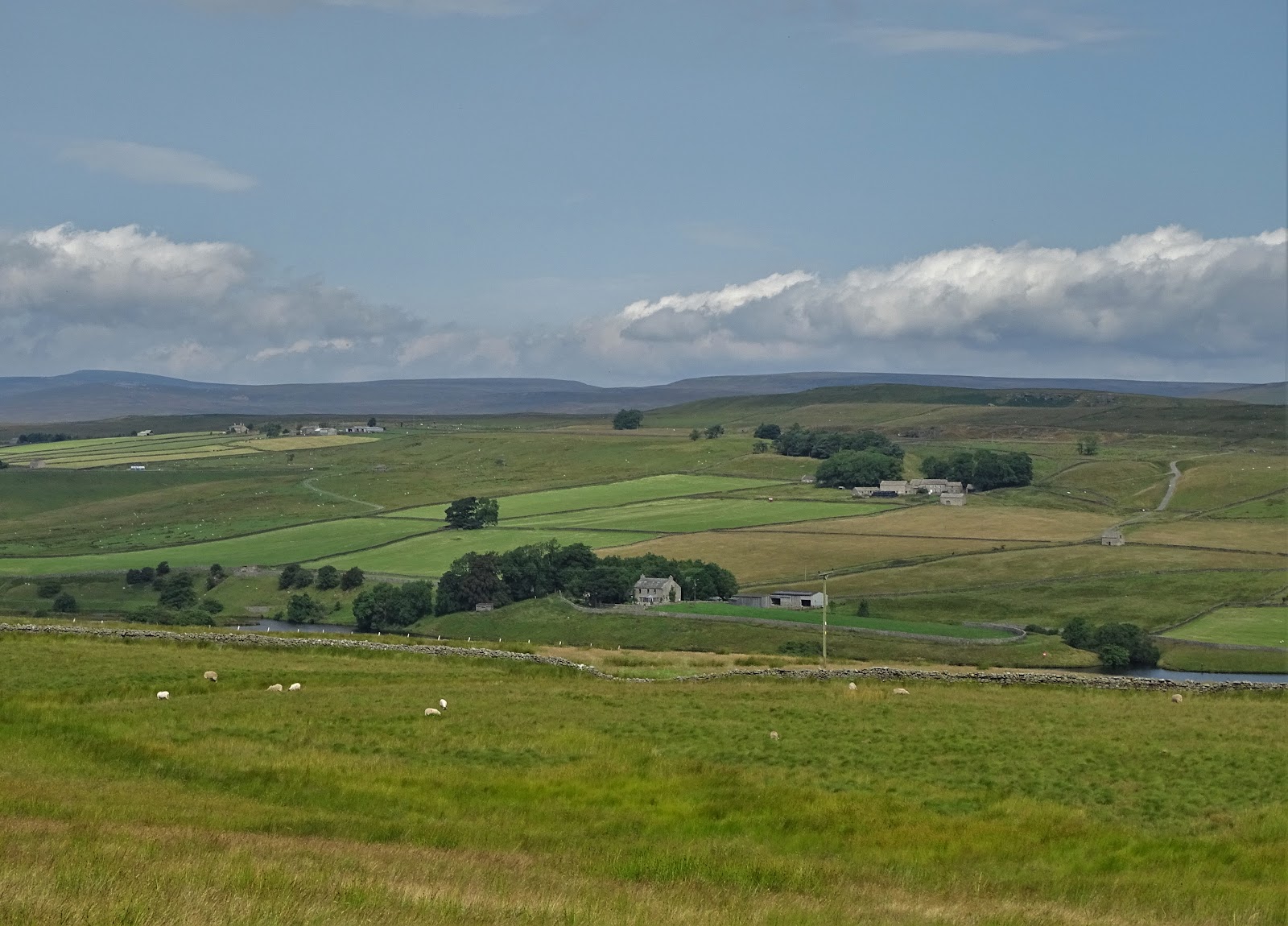 Yorkshire Pudding Baldersdale
