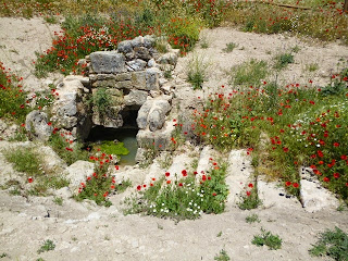 Fuente del Pocillo