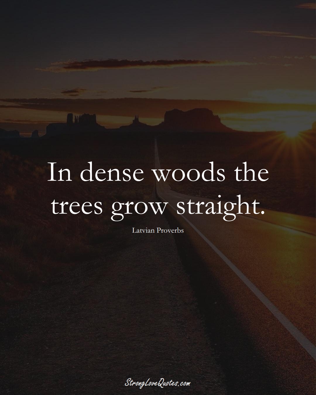 In dense woods the trees grow straight. (Latvian Sayings);  #EuropeanSayings
