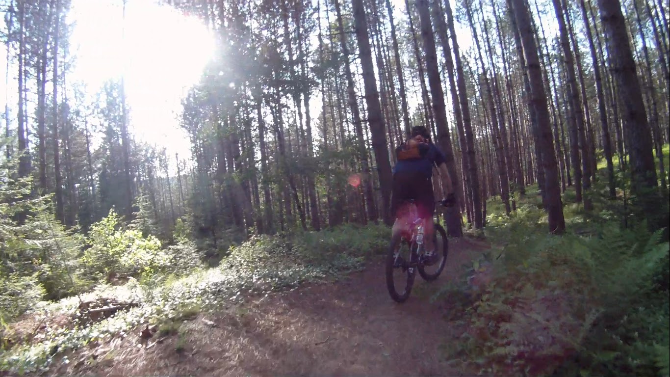 mountain biking in new england