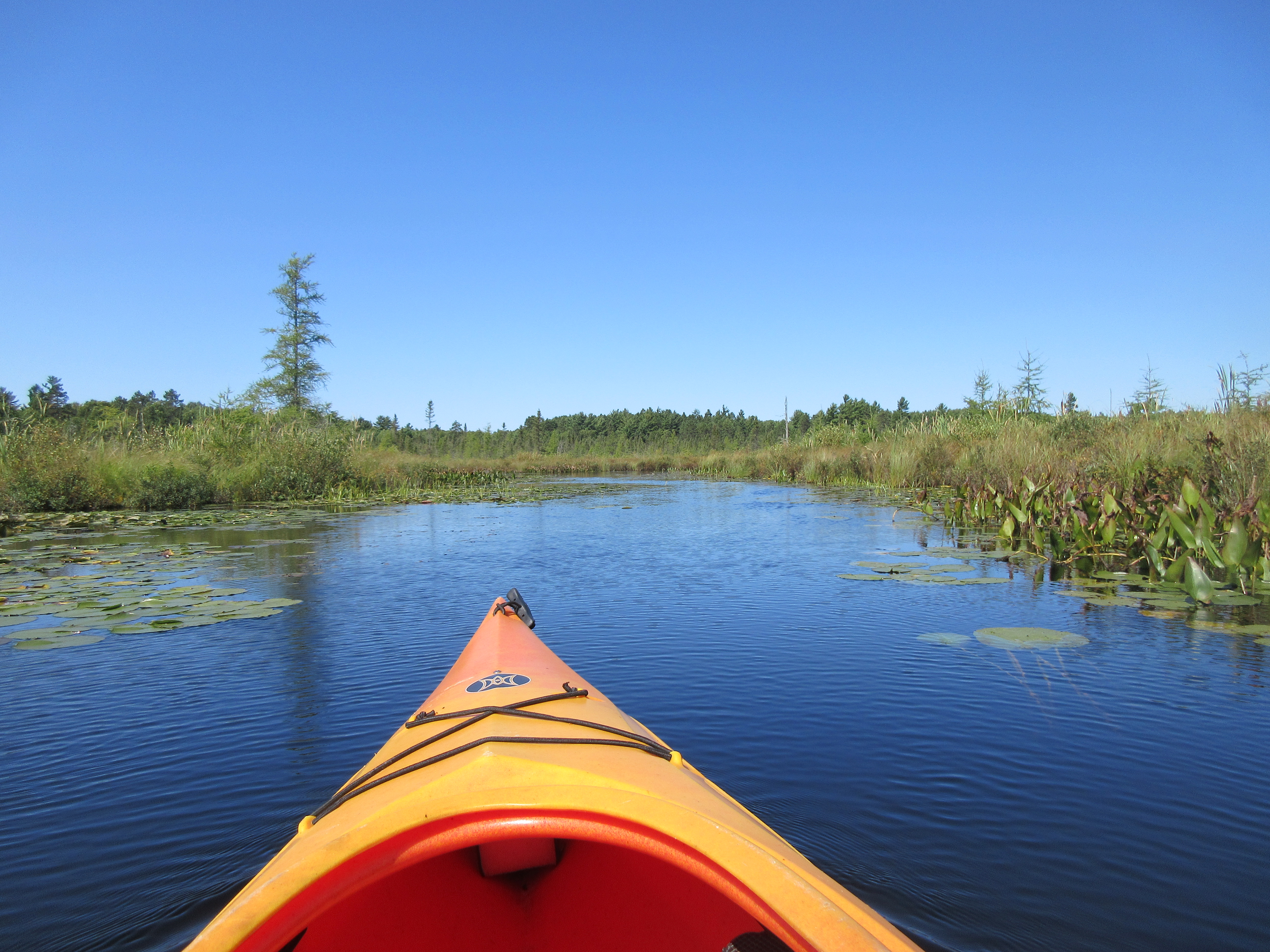 Dave's Yak Tales Lake Tomahawk, Saturday