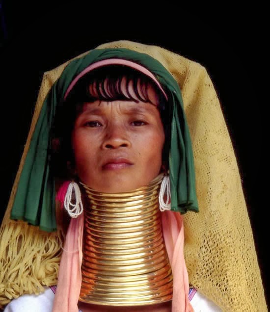 women have most long necks all around the world . it reach 40cm