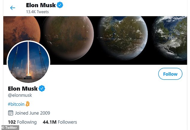 Elon Musk Twitter Bio says Bitcoin