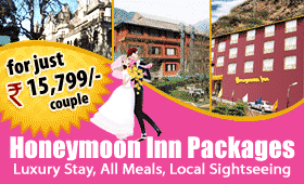 Honeymoon Packages in India