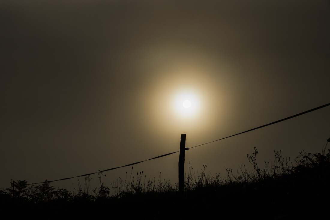 Туман в долине Туман в долине