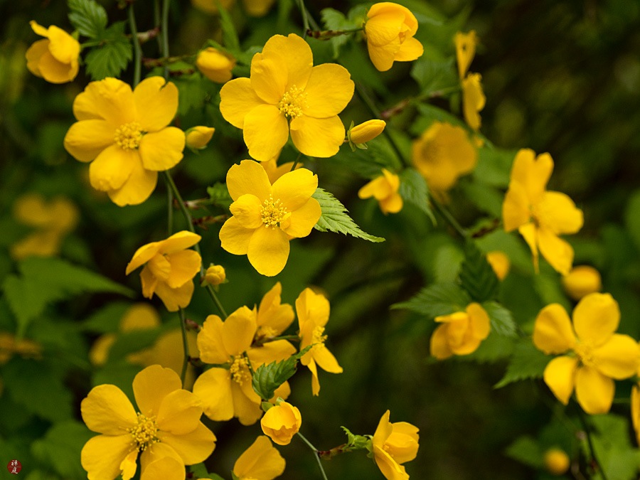 Map But Physical Maps Printed