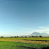 Pemandangan Pagi Hari Yang Cerah Semoga Membawa Berkah