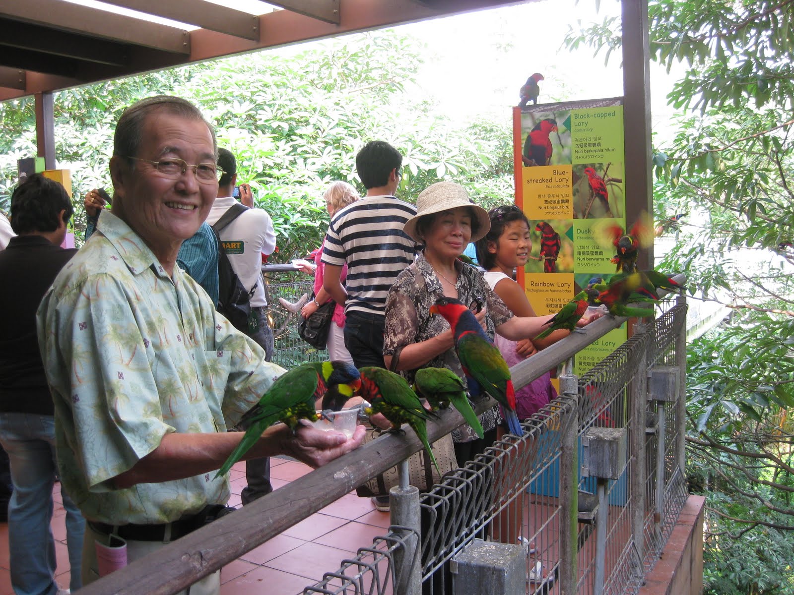 NOSTALGIA Jurong Bird Park