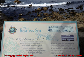 The Restless Sea in 17 mile drive