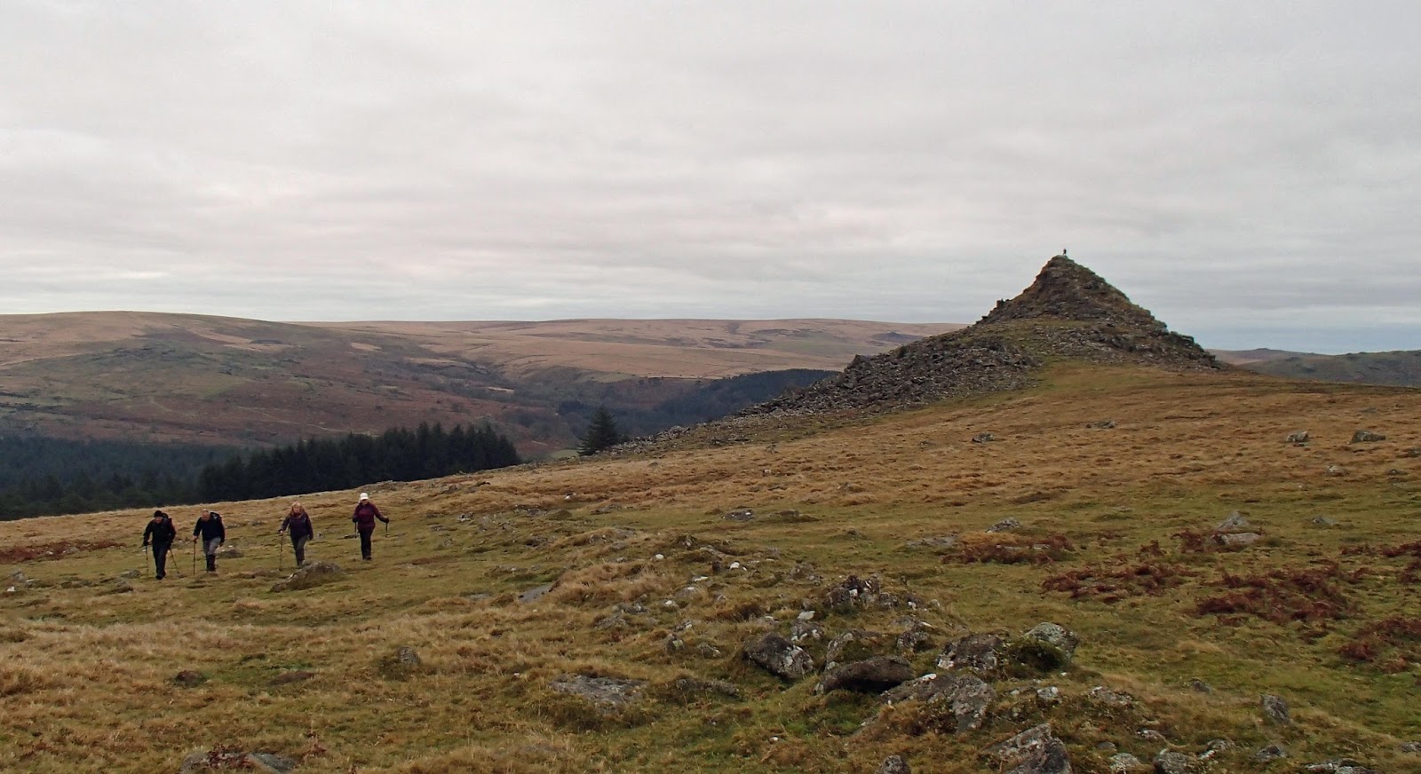 Wednesday Walkers: TWW 5th December 2017